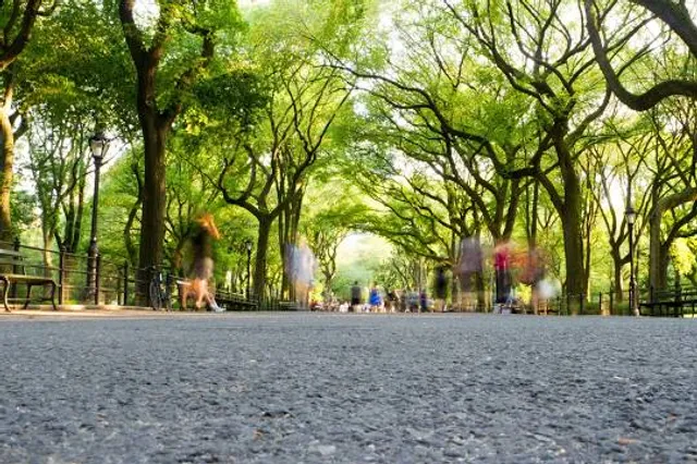 Central Park