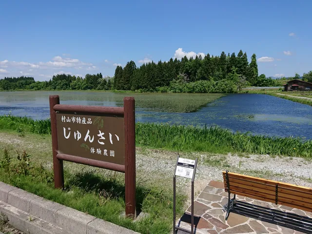 Junsai Marsh