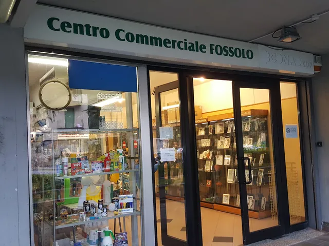 Centro Commerciale Fossolo