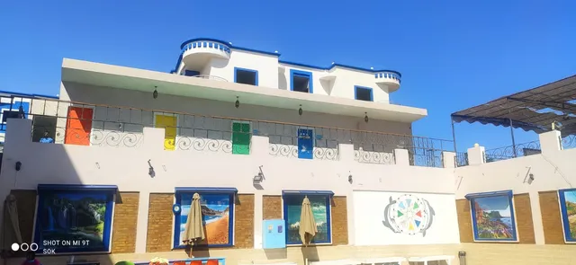 Dolphin Hotel tourism