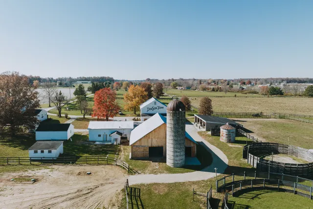 Five Daughters Vineyard