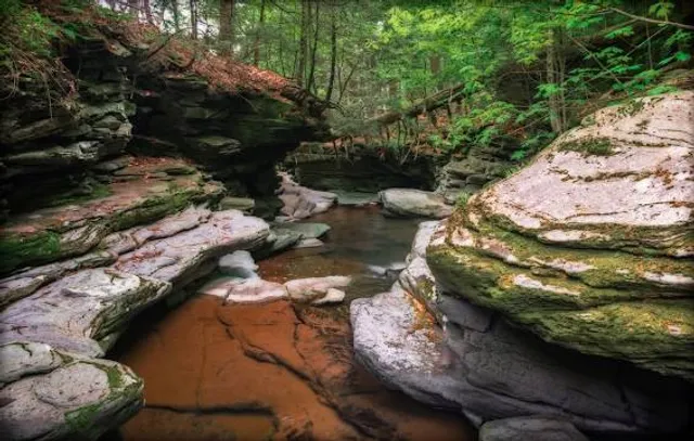 Platte Creek State Recreation Area
