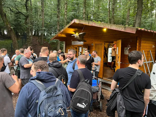 3D Bogenpark Surwolds Wald