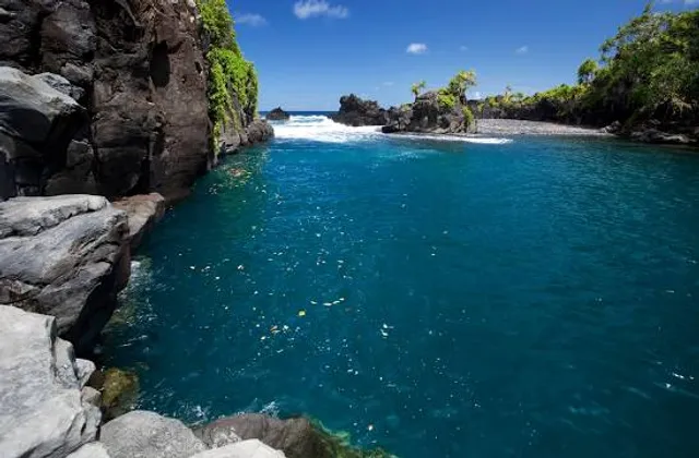 Venus Pool Bird Watching Nature Reserve