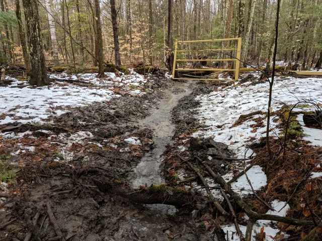 Catamount Outdoor Family Center