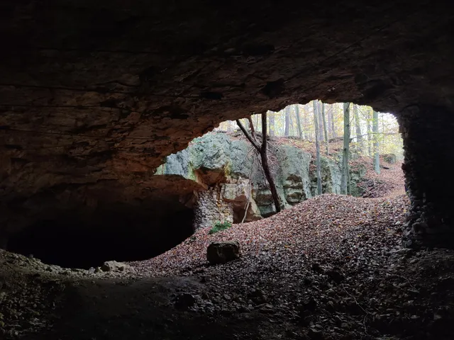 Nature reserve Szachownica