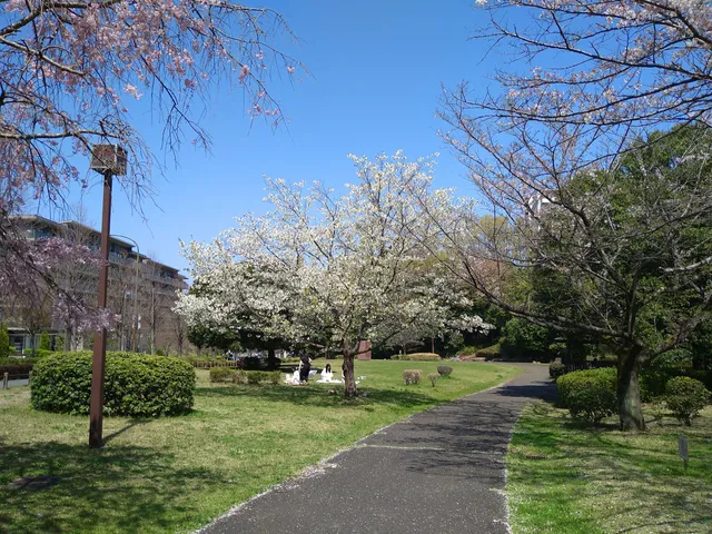 Yanagisawanoike Park