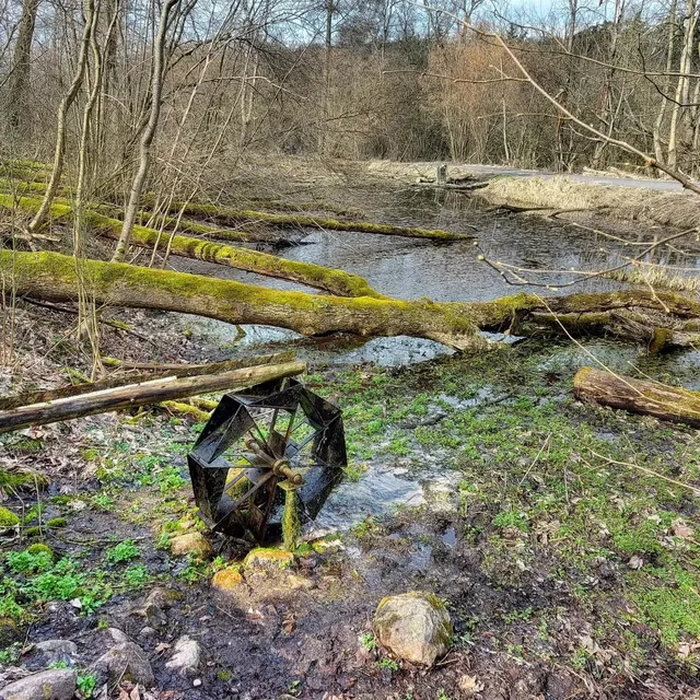 Puszcza Bieniszewska