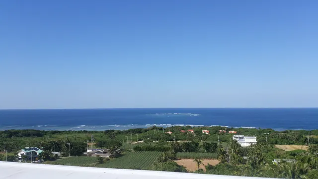 Satake Yaeyama Memorial Palm Museum