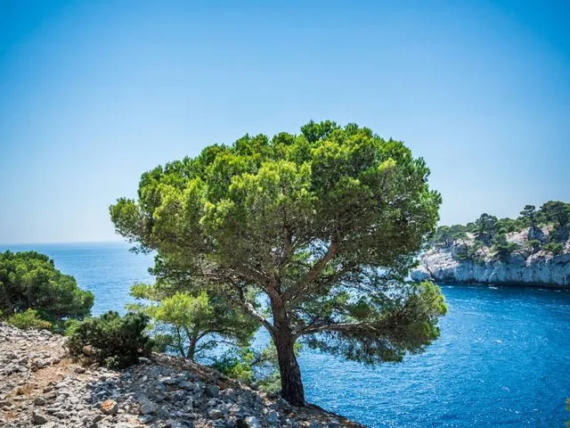 Plage des pierres blanches