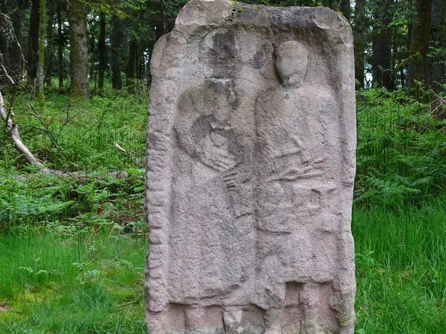 Camp celtique de la Bure