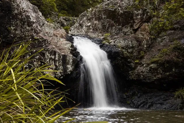 Kondalilla National Park