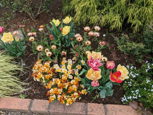 Shiki-no-kaori (Four Seasons Scent) Rose Garden