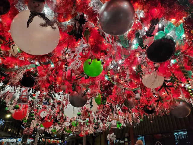 Route 66 Christmas Chute