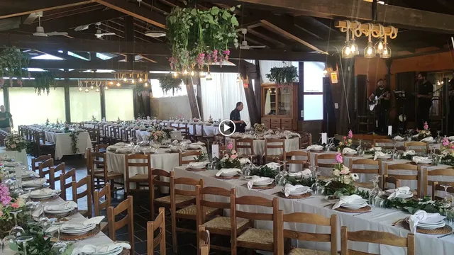 Cavallino della Giara