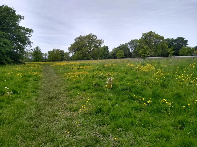 National Trust - Morven Park