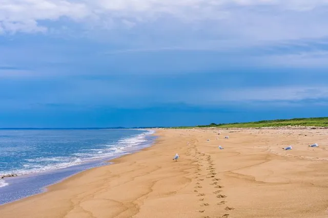 Plum Island Beach