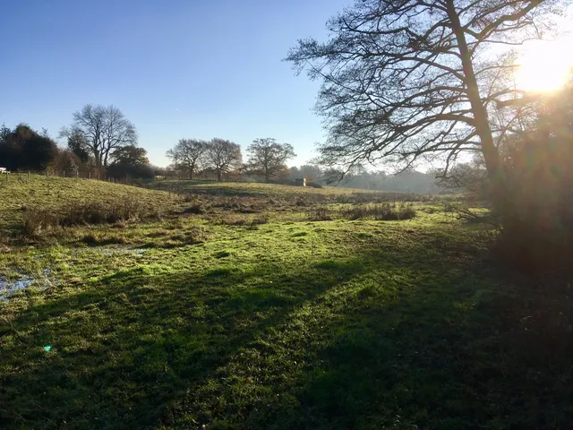 Chesworth Farm, Horsham