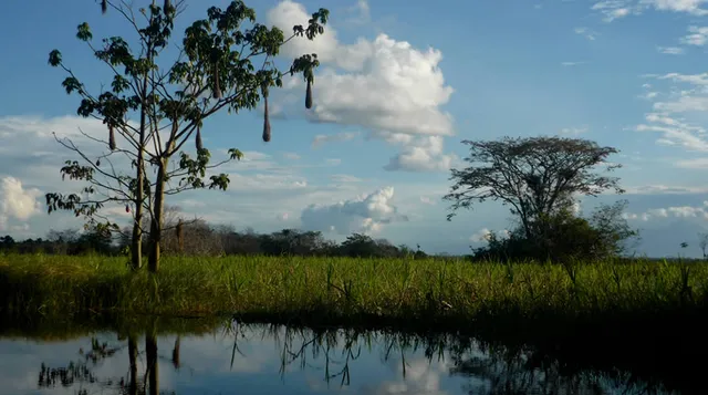 Parque Nacional Natural La Paya