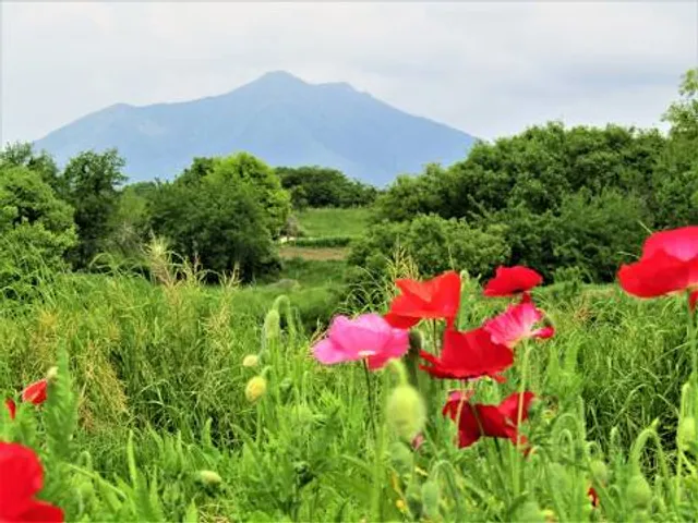 Kokaigawa River Fureai Park