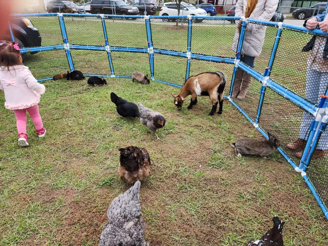 Villa Farm Mobile Petting Zoo