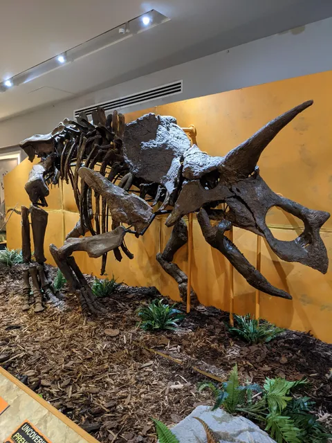 The Palm Beach Museum of Natural History