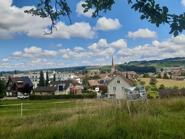 Waldkathedrale Beromünster