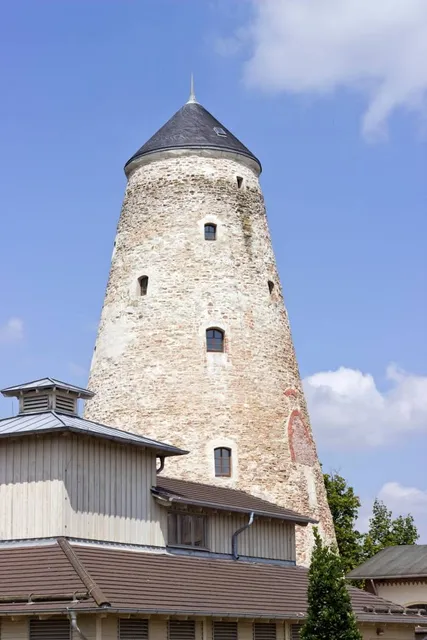 Salt Tower