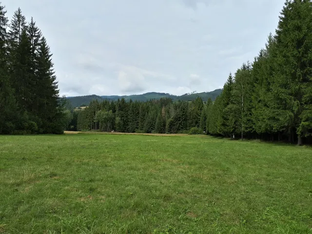 Rezerwat przyrody Bukovec