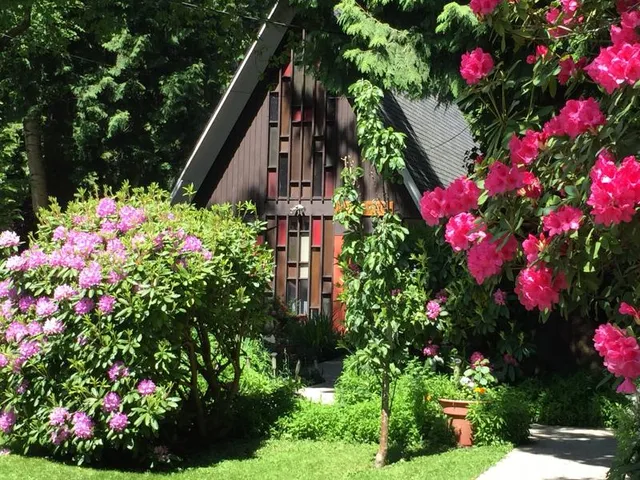 Mind & Matter Gallery