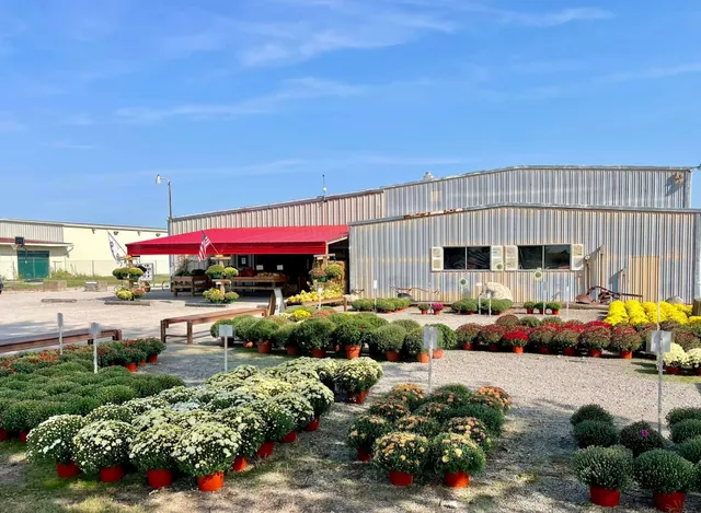 Carter's Produce and Farmers Market (Waterville)