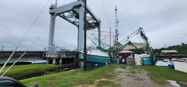 SeaHarvest Fresh Shrimp