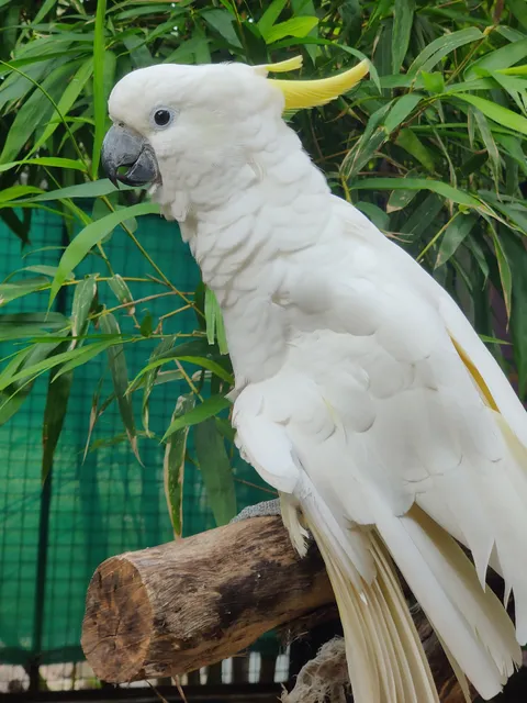 Sugar Rush Outdoors is Qi Animal Sanctuary