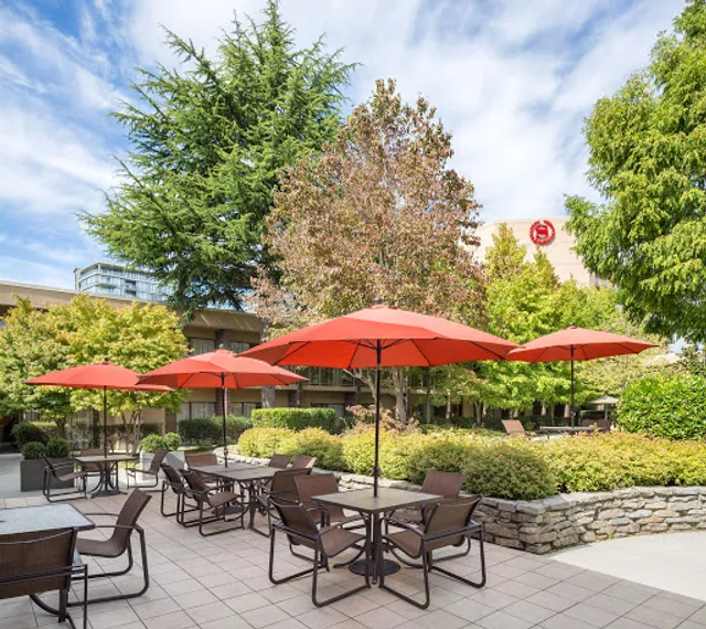 Harold's Kitchen & Bar