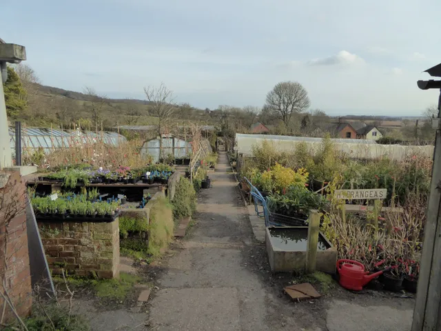 Triscombe Nurseries