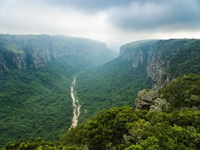 LIPU Gravina of Laterza