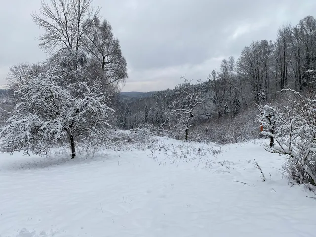 Skigebiet Heigenbrücken / Winterloch