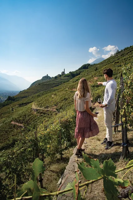 Strada del Vino della Valtellina