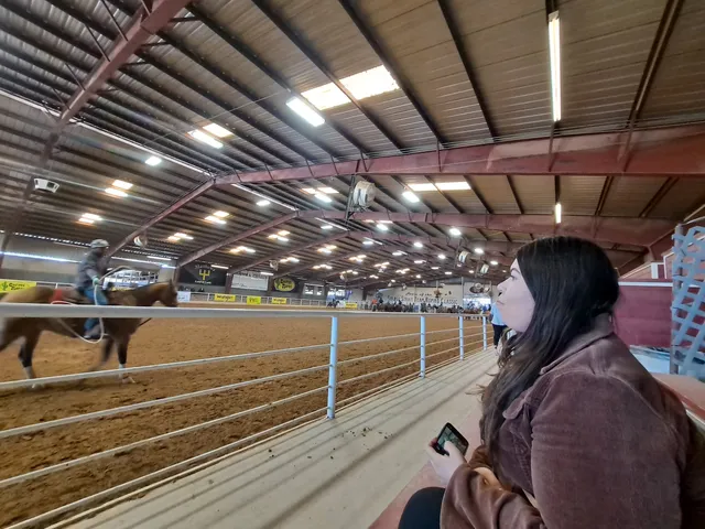 The San Antonio Rose Palace