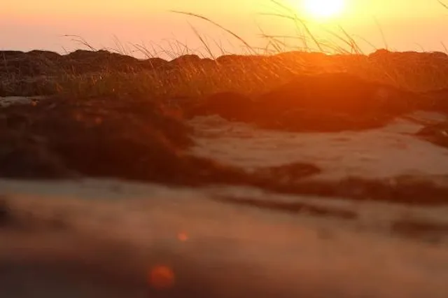 Rodanthe Beach Access