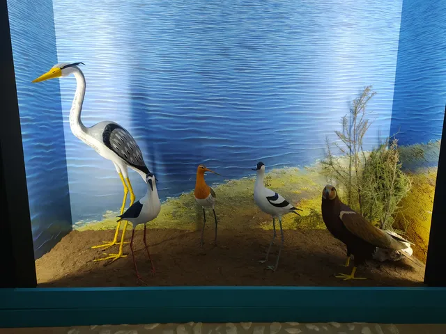 Centro de interpretación Reserva Natural Lagunas de Campillos