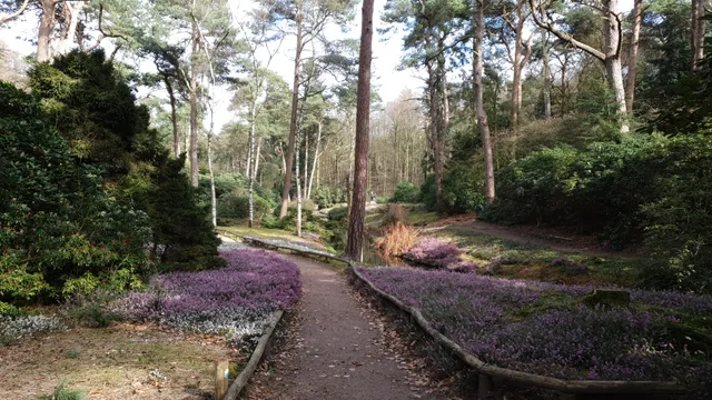 Heidetuin