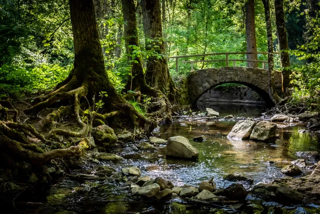 Vallée du Katzenbach