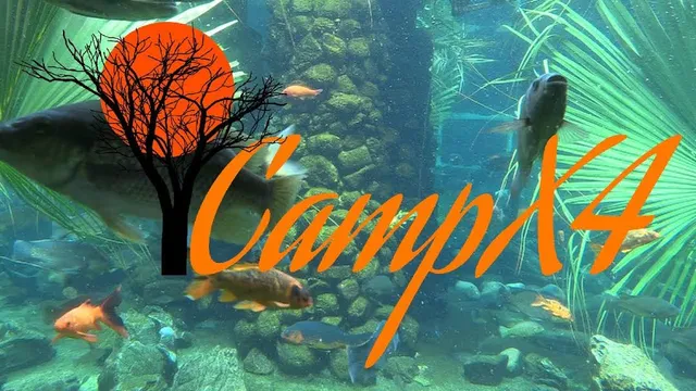 Hartbeespoort Fresh Water Fish Aquarium