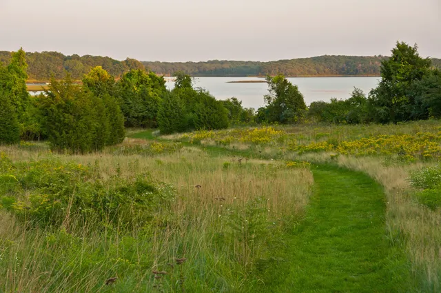 DNRT Slocum's River Reserve