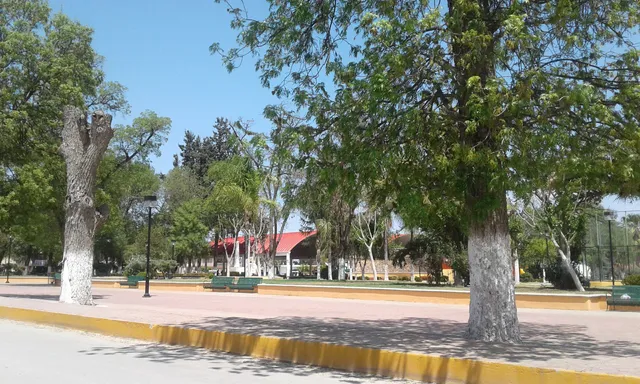 Álvaro Obregón - “PAO” Park
