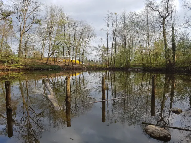 Naherholungsgebiet Rosenhain