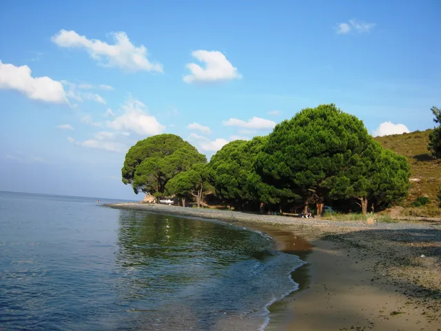 Fıstıklı Köyü Piknik Alanı