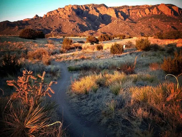 Elena Gallegos Open Space