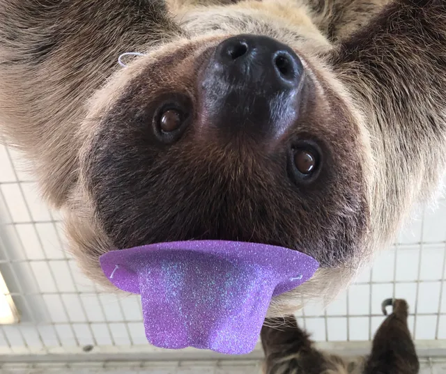 TGR Exotics Wildlife Park